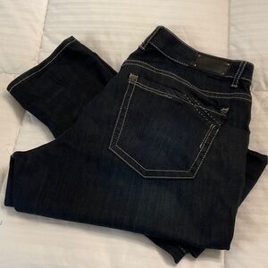 Buckle womens Dark Indigo Skinny jeans